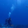 Picture taken during the dive