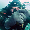 Picture taken during the dive