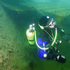 Picture taken during the dive