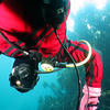 Picture taken during the dive