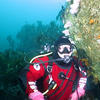 Picture taken during the dive
