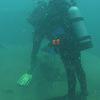 Picture taken during the dive