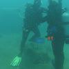 Picture taken during the dive