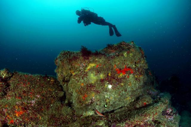 BUCEO EUSKADI - Dive Center in Spain