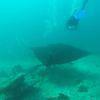 Picture taken during the dive