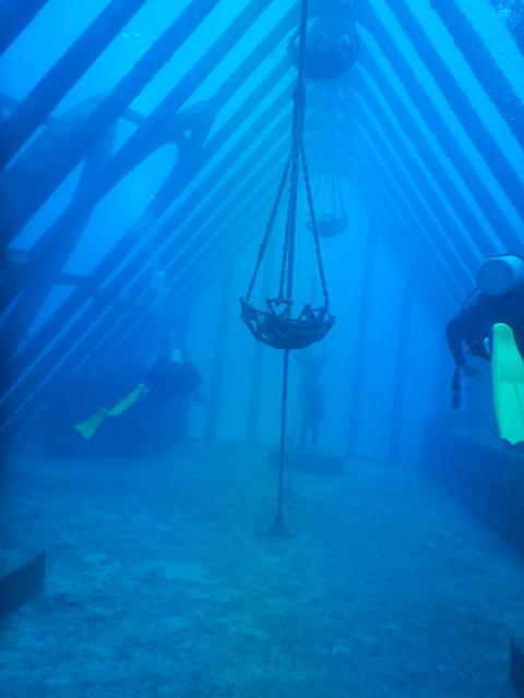 Adrenalin Snorkel & Dive - Dive Center in Australie