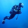 Picture taken during the dive
