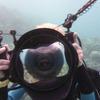 Picture taken during the dive