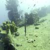 Picture taken during the dive