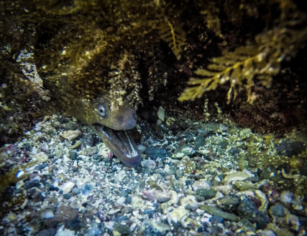 Eco Dive Center - Dive Center in United States