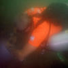 Picture taken during the dive