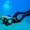 Picture taken during the dive