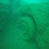 Picture taken during the dive