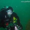 Picture taken during the dive