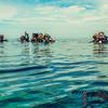 Picture taken during the dive