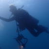 Picture taken during the dive