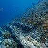 Picture taken during the dive