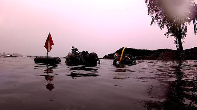 Nautilus Dive Center - Dive Center in United States