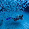 Picture taken during the dive
