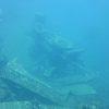 Picture taken during the dive