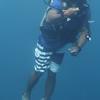 Picture taken during the dive