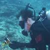 Picture taken during the dive