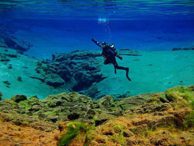 Harbor Dive Center - Dive Center in United States