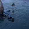 Picture taken during the dive