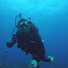 Picture taken during the dive