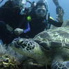 Picture taken during the dive