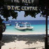 Picture taken during the dive