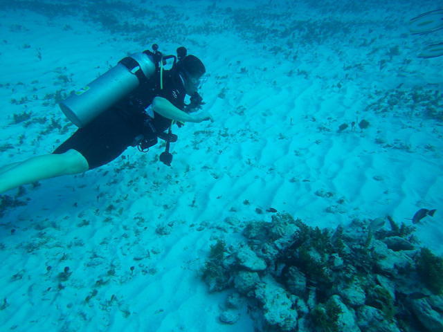 Scuba Cancun - Dive Center in Mexico