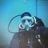 Picture taken during the dive