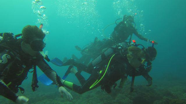 Diving in Yibuti, Adjourah Gulf - By nickname