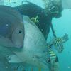 Picture taken during the dive