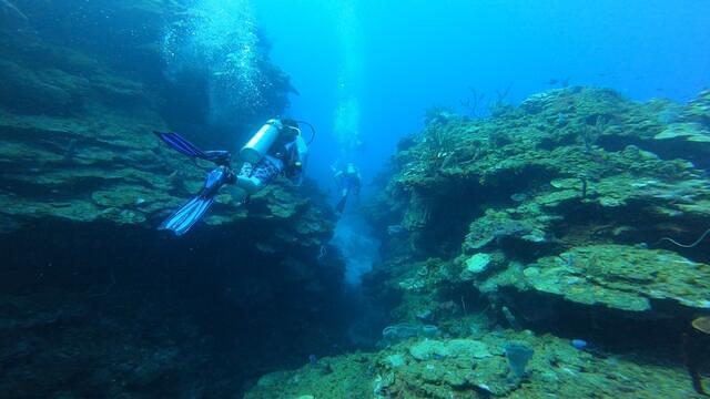 Diving in Honduras, Roatan - By Mr.Red