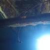 Picture taken during the dive