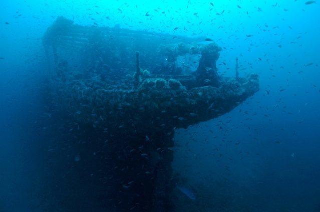 Diving in France, Porquerolles - By Franck