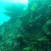 Picture taken during the dive