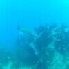 Picture taken during the dive