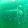 Picture taken during the dive