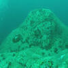 Picture taken during the dive