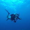 Picture taken during the dive