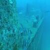 Picture taken during the dive