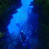 Picture taken during the dive