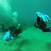 Picture taken during the dive