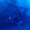 Picture taken during the dive