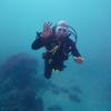 Picture taken during the dive