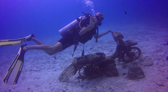 Sea Fun Divers Co Ltd - Dive Center in Thailand