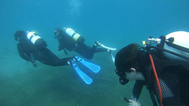 NEMO DIVERS - Dive Center in Slovenia